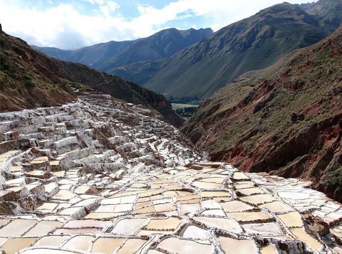Maras Moray